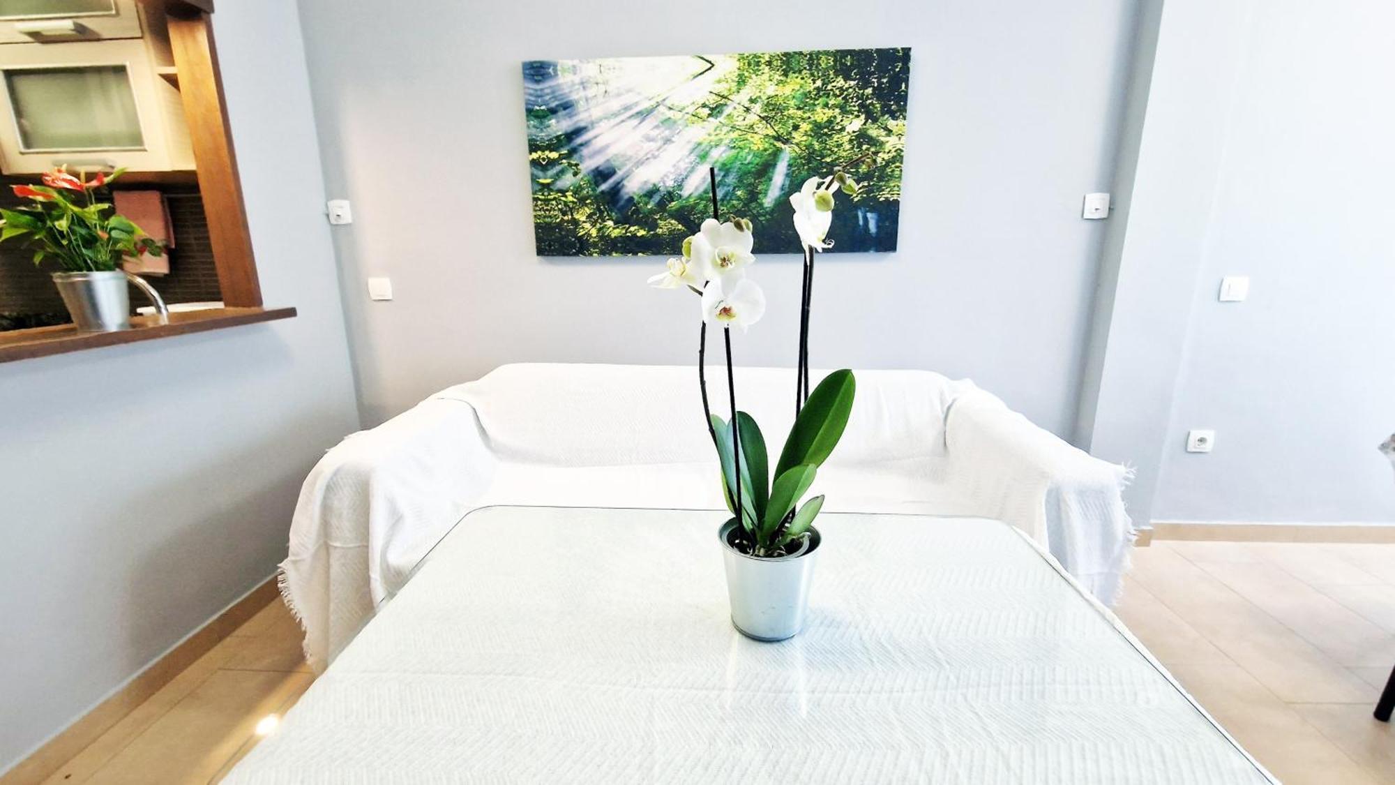 Apartment Aa Guest - Sur Sea Views Eco